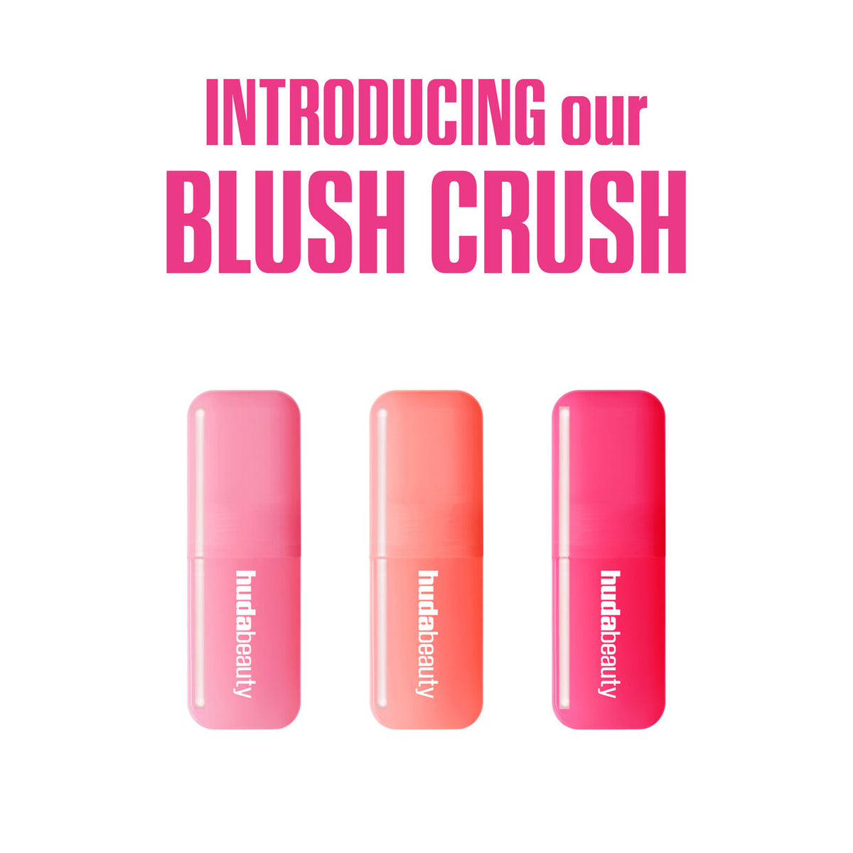 The NEW Blush Crush Kit